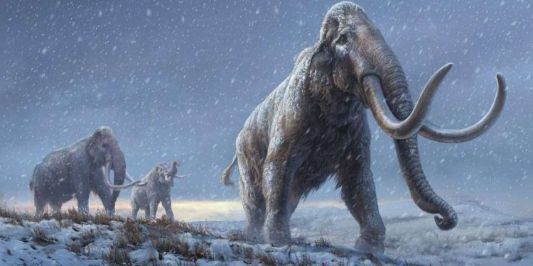 Tập tính và nguồn thức ăn của voi ma mút