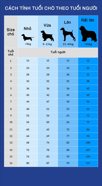 Làm thế nào để tính tuổi của chó theo năm con người?