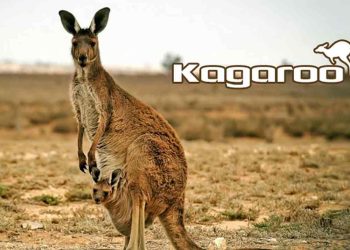 Biện pháp bảo vệ loài Kangaroo